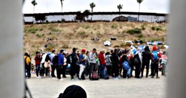 Joe Biden's Parole Pipeline Freed 745K Foreign Nationals into U.S. in 2023 -- Exceeding 2 Months of American Births