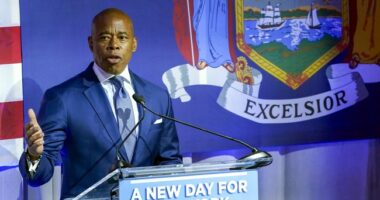 Jonathan Turley: New York's Lawsuit Against Bus Companies Is 'Motivated by Pure Hypocrisy'