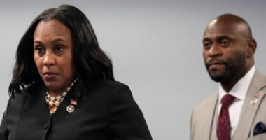 Judge Orders Unsealing of Divorce Case Involving Fani Willis's Alleged Lover