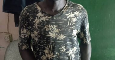 Kaduna police arrest suspected gunrunner supplying arms to Zamfara bandit