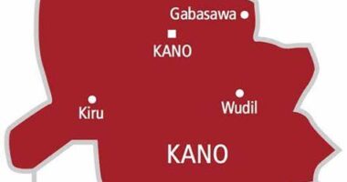 Kano Internal Revenue Service sacks 8 directors