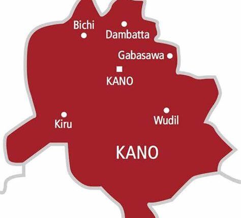 Kano Internal Revenue Service sacks 8 directors