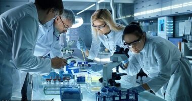 Researches believe they have uncovered the answer to finally debilitate the disease that kills just over a quarter of all deaths in England on an average year