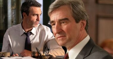 Law & Order Season 23 Images Reveal Newest Detective