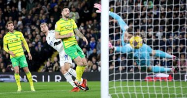 Patrick Bamford scored the winner for Leeds as they beat Norwich 1-0 at Elland Road