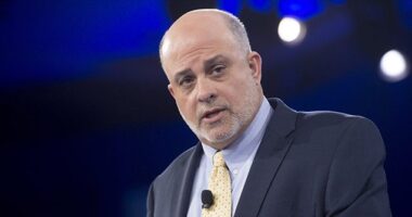 Levin: We Have 'Modern Day Slavery' Going on at the Southern Border