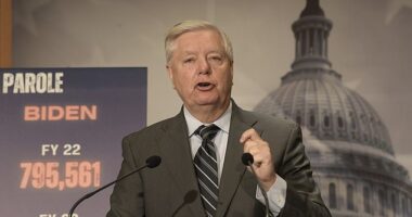 South Carolina Sen. Lindsey Graham threw former President Donald Trump under the bus when he testified before a Georgia grand jury, a forthcoming book claims