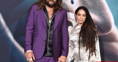 Lisa Bonet is divorcing Jason Momoa after 2-year split