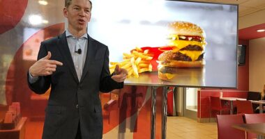 Writing on LinkedIn yesterday, McDonald's CEO Chris Kempczinski said the misinformation surrounding brands like McDonald's was 'disheartening and ill-founded' (File Photo)