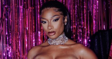Megan Thee Stallion Blasted By Father Of Megan Kanka
