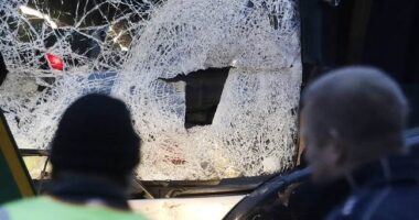 Mob Uses Kia to Smash Through Bakery Door, Steals Everything, Destroys the Place – RedState