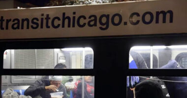 More Chicago Suburbs Join Bus Bans to Stop Chicago-Bound Illegal Aliens