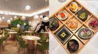 Moss Cross Tokyo's French-inspired omakase available at Telok Ayer from S$69++ - Mothership.SG