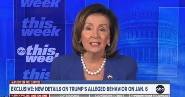 Former House Speaker Nancy Pelosi said Sunday that most new damning details emerging about Donald Trump on January 6, 2021 are from Republicans and allies