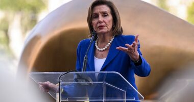 As her fellow Democrats have called for the banning of stock trades by members of Congress, former Speaker of the House Nancy Pelosi saw a 65 percent return on her investments in 2023