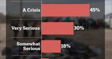 A new poll shows that 75% of Americans feel that the situation at the southern border is either a 'crisis' or 'very serious'