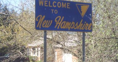 New Hampshire AG Says DNC Engaged In 'Unlawful Voter Suppression'