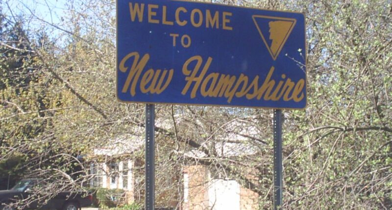 New Hampshire AG Says DNC Engaged In 'Unlawful Voter Suppression'