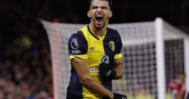 Newcastle have reportedly had an enquiry about Dominic Solanke rebuffed by Bournemouth