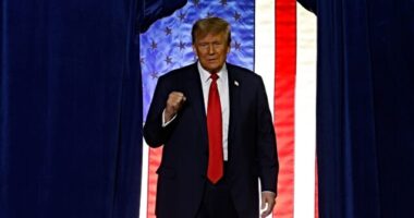 Nolte: New Hampshire Surveys Forecast Trump Majority on Tuesday