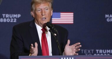 Voters in Illinois and Massachusetts have joined the battle to kick Donald Trump off the 2024 election ballot by claiming he was part of an 'insurrection' on January 6