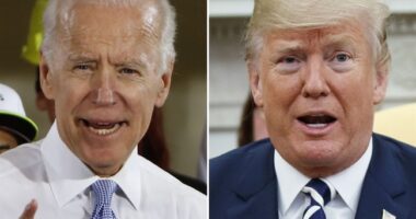 One Political Outfit Says Michigan Is a Toss-Up State in 2024 and I Can't Stop Laughing – RedState