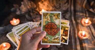 Opinion: 10 predictions for stocks, crypto, AI, gold and bonds in 2024