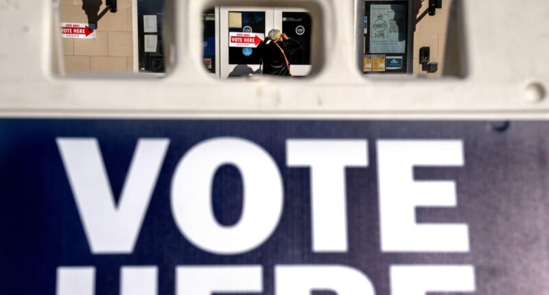 Opinion: America and democracy are on the ballot as billions worldwide vote in 2024