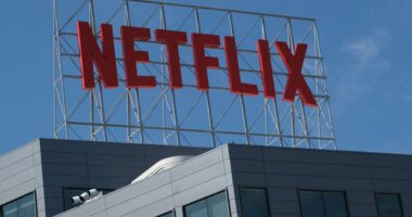 Opinion: Netflix is having its way with ads, and Wall Street could win too