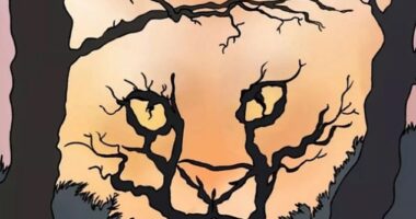 This tiger against an orange background also manages to look like a forest - what do you see first?