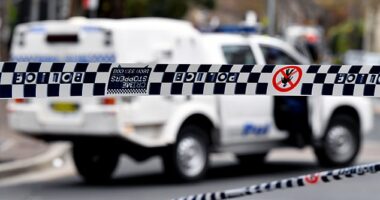 An elderly man has died after he was allegedly stabbed at an apartment complex late on Tuesday night in Cairns