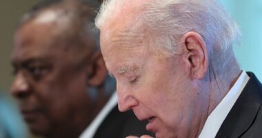 Pentagon on Biden Not Knowing Austin Was Out: They Talk a Lot, It Was 'a Holiday Period'