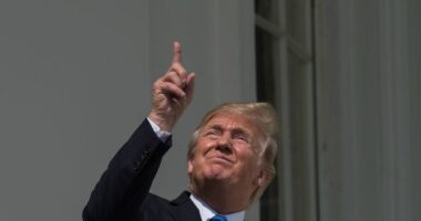 Poll: Donald Trump Support in Republican Primary 'Highest Level Yet'