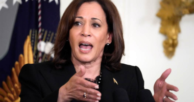 Pro-Palestinian Activists Were Denied Entry to a Kamala Harris Event, Accused the Organizers of Racism – HotAir