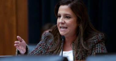 Republican Elise Stefanik claims credit for Harvard president’s resignation