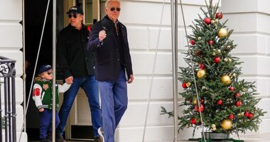 The White House is maintaining that Joe had no involvement in his son Hunter's or brother James' deals