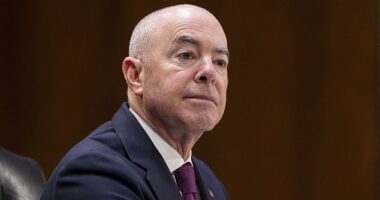 House Republicans on Sunday released two articles of impeachment against Homeland Security Secretary Alejandro Mayorkas. Democrats and the agency slammed the move as a politically motivated stunt lacking the constitutional basis to remove him from office