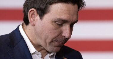 Florida Gov. Ron DeSantis suspended his presidential campaign on Sunday. Pictured: DeSantis at a campaign stop in Nashua, New Hampshire on January 19