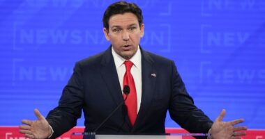 Ron DeSantis Levels Protesters at Fox Town Hall With One Quip – RedState
