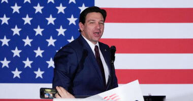 Ron DeSantis Plays Victim: They 'Called the Election' Before Many Could Vote