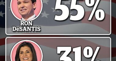 Viewers declare Florida Gov. Ron DeSantis the winner of Wednesday night's debate with former South Carolina Gov. Nikki Halley in our snap poll