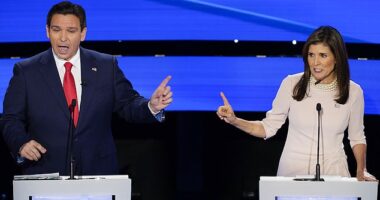 One of the many issues Ron DeSantis and Nikki Haley argued about  in their debate was DeSantis' war on Disney and transgender kids