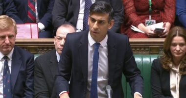 Rwanda bill UK: Tory rebellion melts away as No 10 ‘confident’ ahead of crunch vote