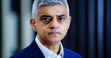 Sadiq Khan told a Fabian Society conference in London: 'I'm not saying today we should rejoin the EU. What I'm saying is David Lammy is on to something when he's saying we should have a closer relationship with the EU'