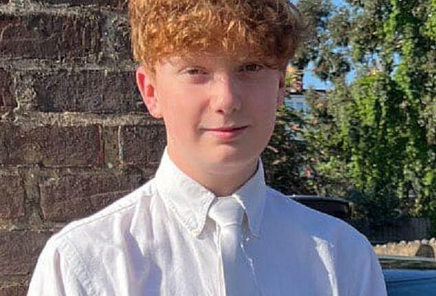 Update: Schoolboy, 15, is arrested on suspicion of the murder of Harry Pitman on�New�Year