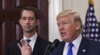 Sen. Tom Cotton Endorses Donald Trump: 'Everything Has Gone to Hell' Under Biden