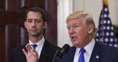 Sen. Tom Cotton Endorses Donald Trump: 'Everything Has Gone to Hell' Under Biden