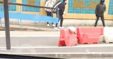 The suspect is seen apparently wielding a knife in his right hand, right of the victim