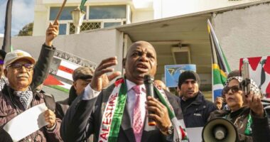 South Africa Claims Israel Trying 'to Prevent Palestinian Births'