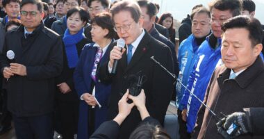 South Korean opposition leader Lee Jae-myung stabbed in neck as he speaks to reporters